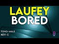 Laufey Bored Karaoke Instrumental Male mp3