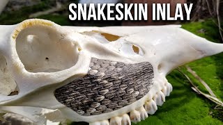 How To Inlay Snakeskin on a Skull! (and other surfaces)