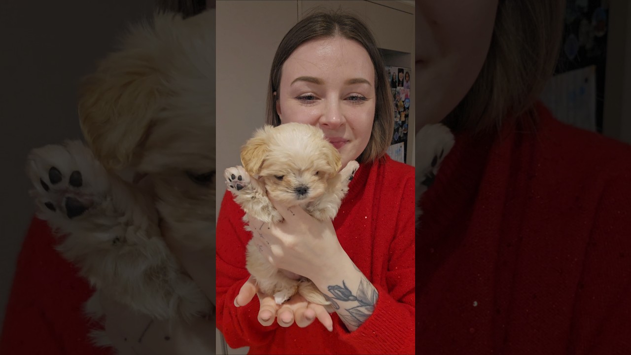 пополнение