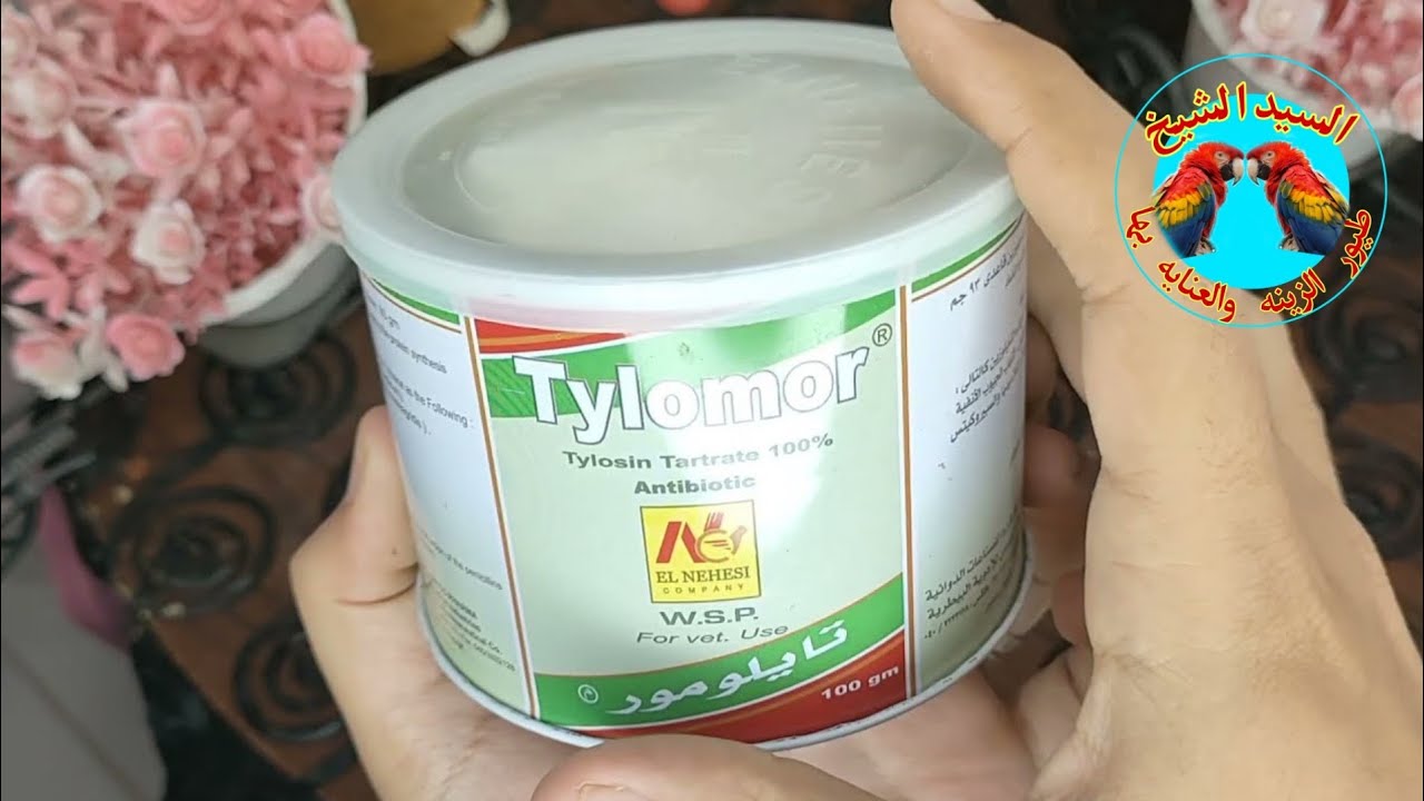 أقوى علاج البرد المزمن والرشح المزمن للعصافير والحمام والطيور عامتا