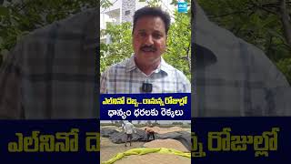 ఎల్ నినో దెబ్బ.. రానున్న రోజుల్లో.. ధాన్యం ధరలకు రెక్కలు | #elnino2026 #paddy #shorts #sakshitv