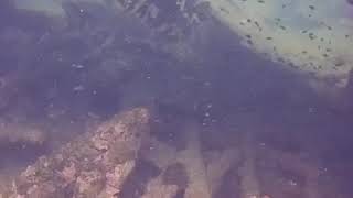 China wreck dive site