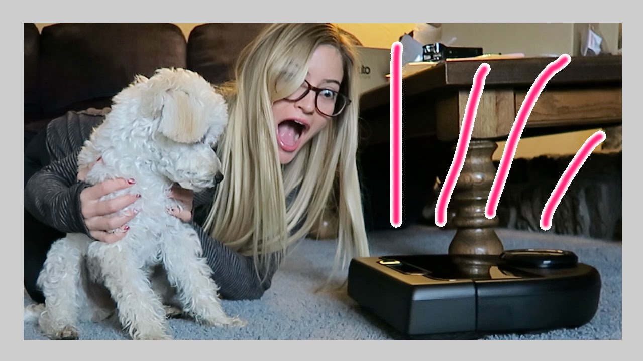 ROBOT VACUUM! | iJustine