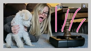 ROBOT VACUUM! | iJustine