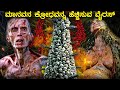 28 Years Later horror movie explained in kannada | mystery story |adventure movie best movie kannada