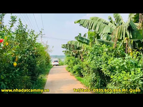 Video ☘️ Bán 1 Sào 7 Vườn Chuối Đường Xe Hơi || Ấp 6 Xã Lâm... - youtube