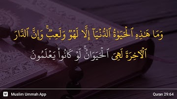 سوره عنکبوت آیه 64