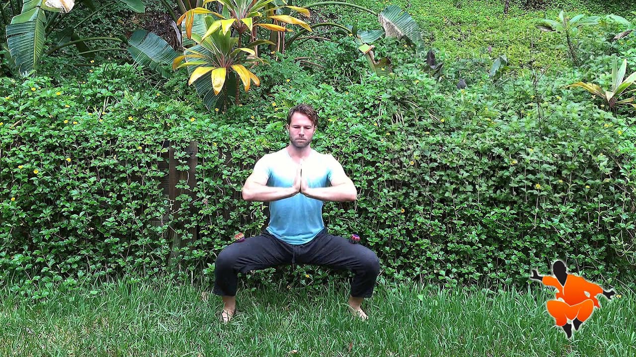 Horse Stance Progression Test YouTube