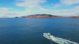 Cruising With Jolly Mon