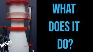 What Is a Protein Skimmer and Do You Really Need One? | Ep.1 BRStv Guide to Skimmers by BRStv - Saltwater Aquariums & Reef Tanks 5,817 views 2 months ago 4 minutes, 43 seconds