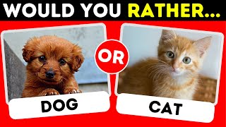 Would You Rather...? 😱 ANIMALS Edition 🐱🐶