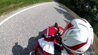 Speeddown 2015 Cortaccia C7 Probe 1 Raynald Richard