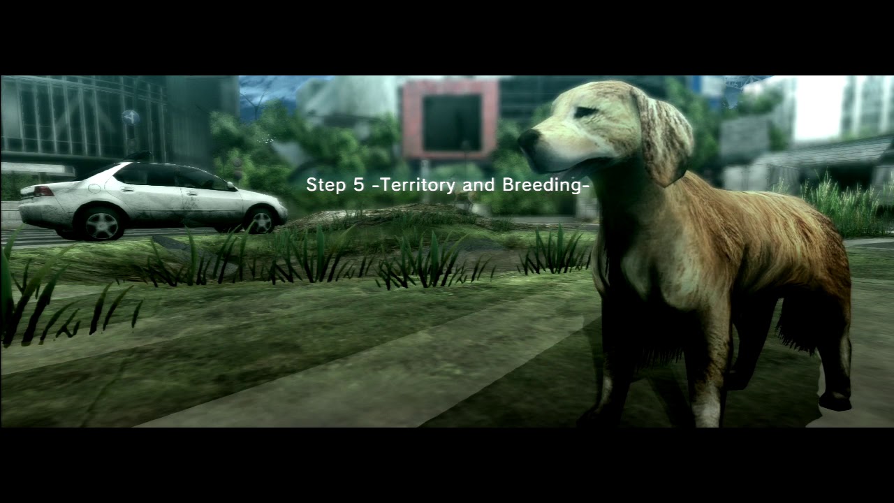 Tokyo Jungle: Tutorial