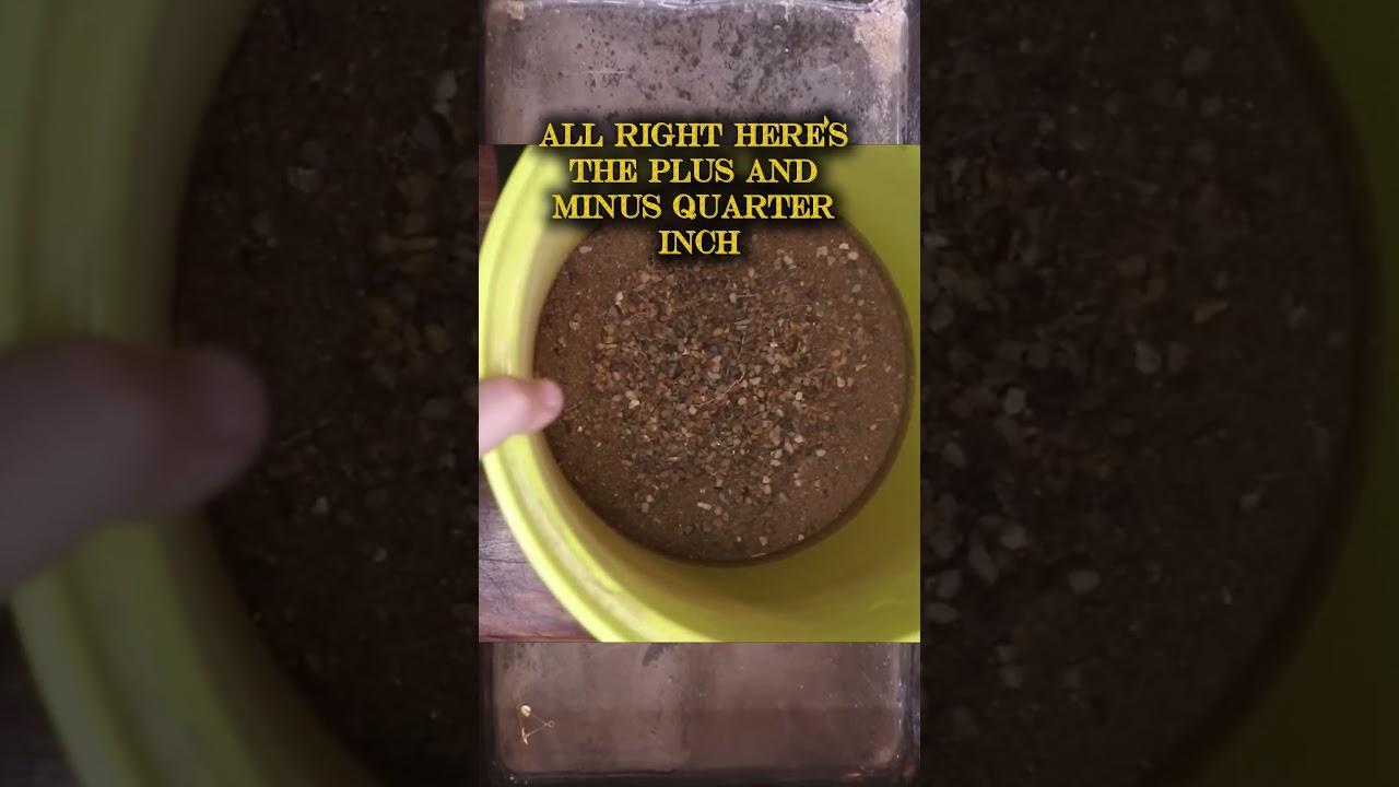 Urban Gold Prospecting- Drainage Ditch at a Gold Mine p2 