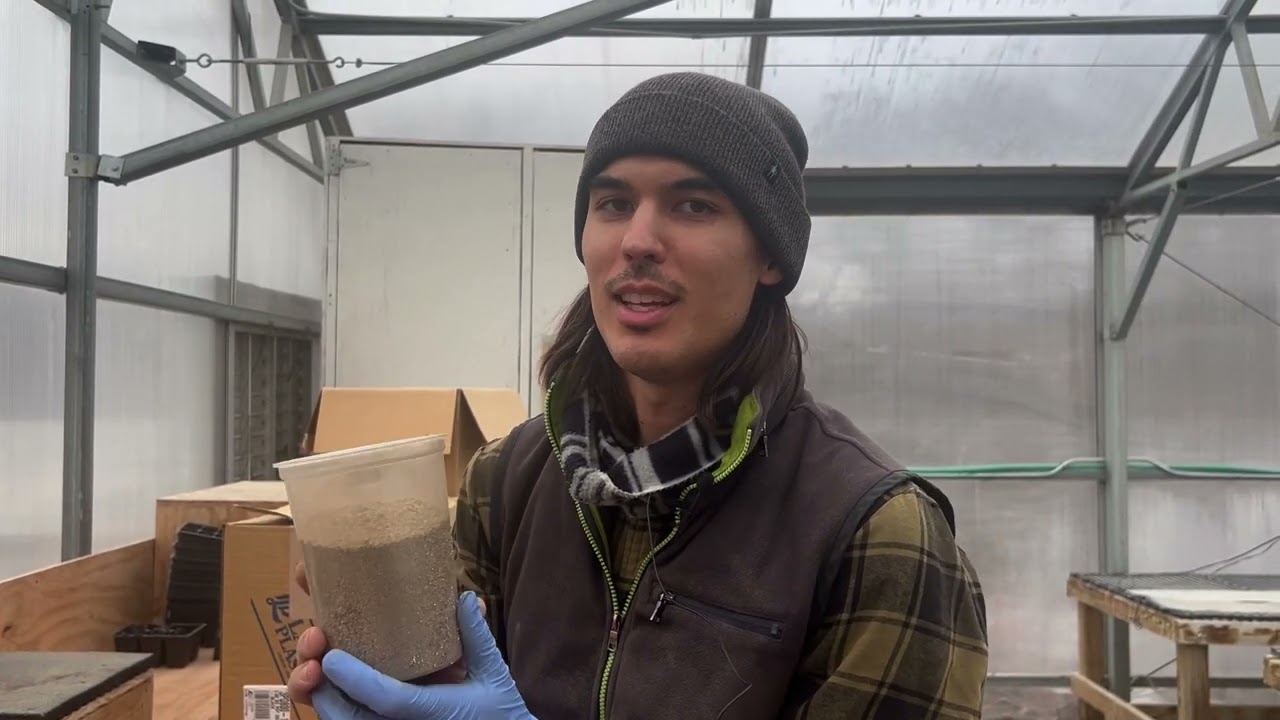 How to Start Onion Seeds Indoors