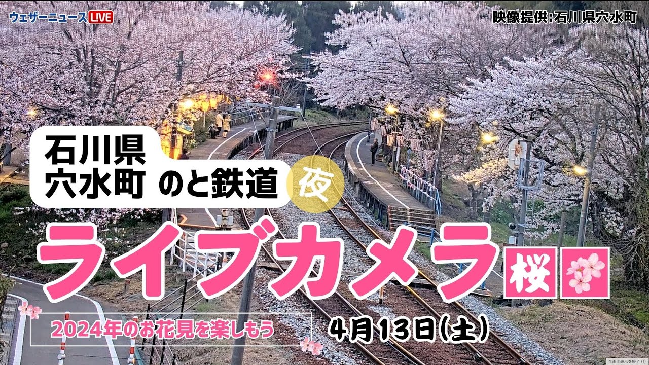 LIVE】🌸能登さくら駅🌸 夜の満開桜ライブカメラ ＜石川県穴水町 のと
