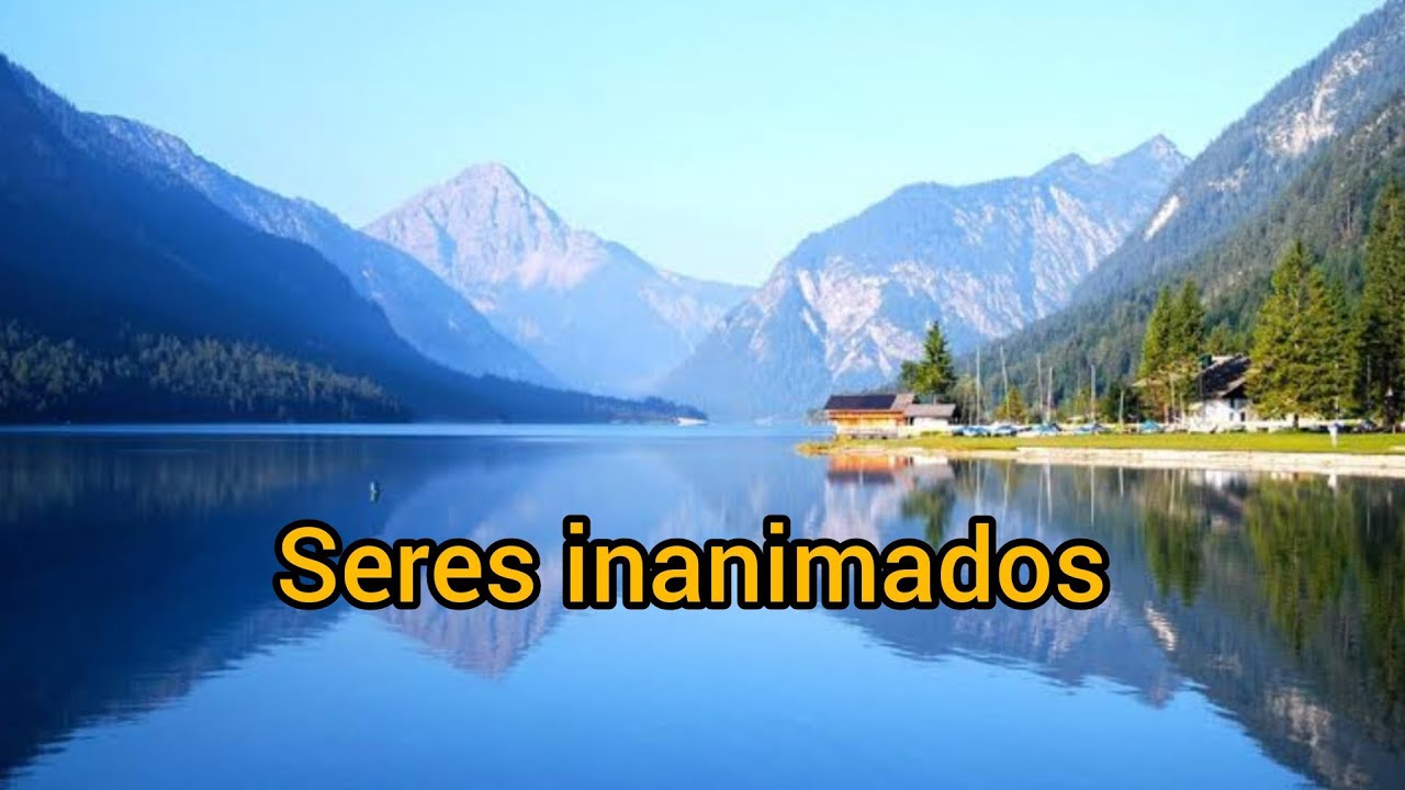 Seres inanimados