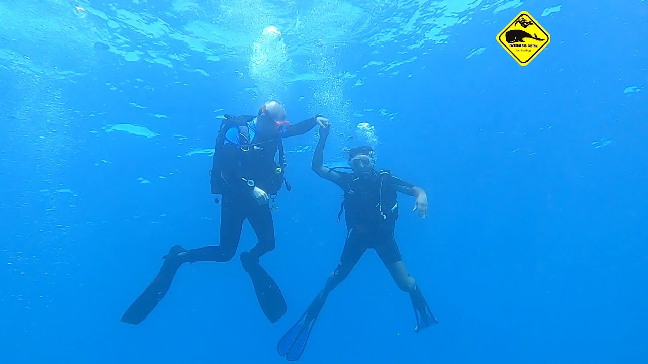 diving cap lahoussayer 16 2 2020 cabrolier stephane YouTube