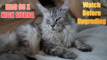 Mac OS X High Sierra - Things to Consider Before Upgrading