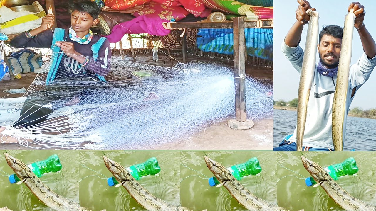 fishing videos baam fish catching in nets