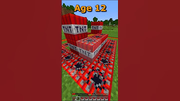 Minecraft Traps At Different Ages (World