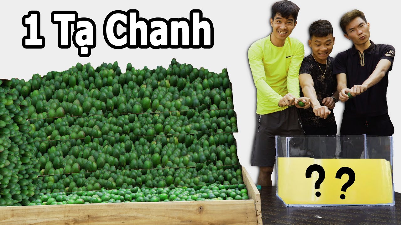 PHD | Thí Nghiệm Vắt 100Kg Chanh Được Bao Nhiêu Lít... - youtube