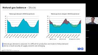 Webinar: IEA Energy Statistics Training - Annual Natural Gas Questionnaire (ESP)