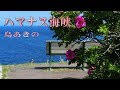 ハマナス海峡 / 島あきの Cover:山口えい子