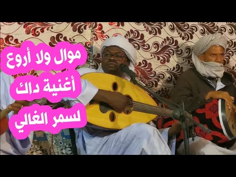 موال ولا أروع مع اغنية داك لسمر الغالي للفنان ناجم أدرار
