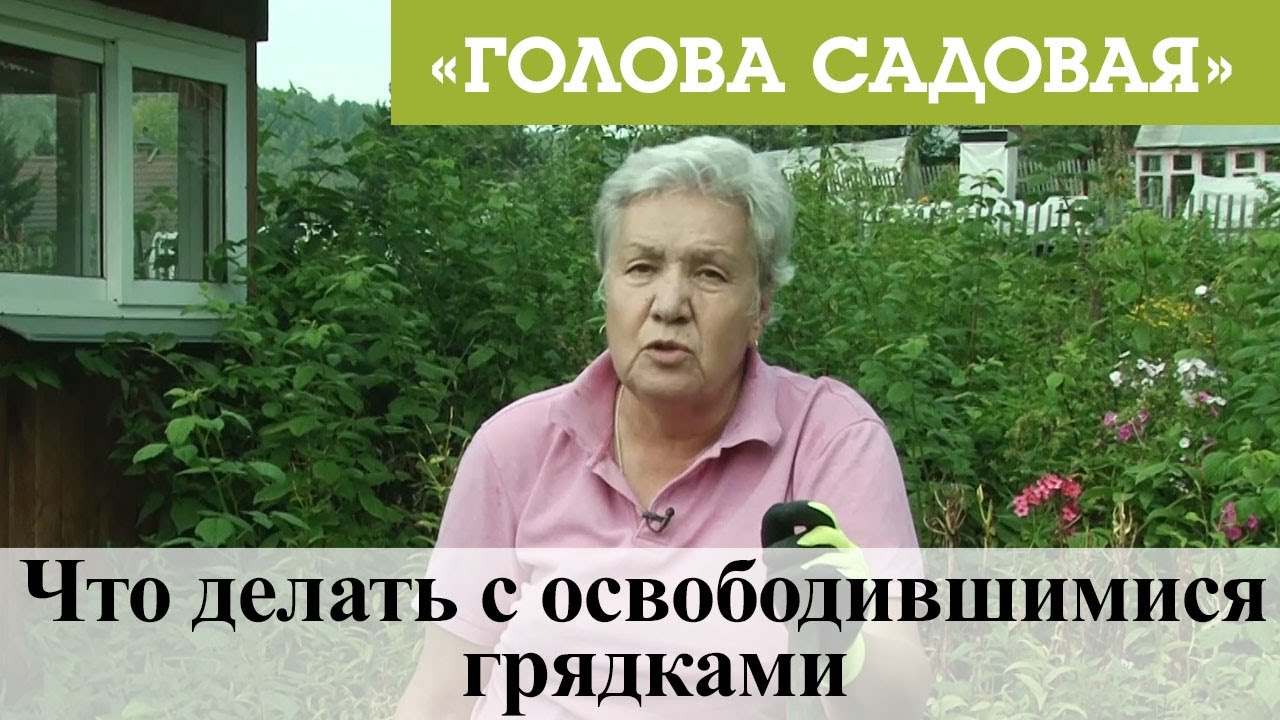 Голова Садовая 2022 Год Новые Видео
