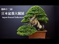 [4K ロング版] 大観展 全出品木紹介