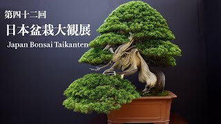 [4K LONG] Taikanten Bonsai Exhibition