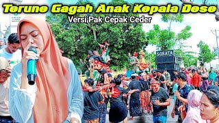 Terune Gagah Anak Kepala Dese| Penarak Sede Versi Pak Cepak Ceder Sonata Indonesia