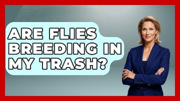 Are Flies Breeding In My Trash? | Insects and Invaders