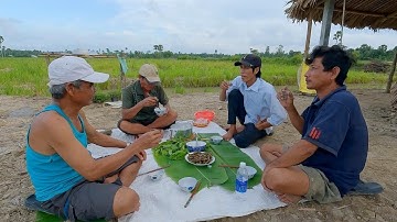 LAI RAI XỊ ĐẾ CHIỀU ĐỒNG QUÊ || ÚT LỤC BÌNH