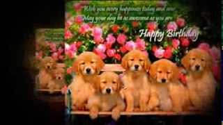 Famous Birthday Greetings Featuring Cute Animals Profile
