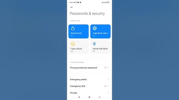 Home Apps 2 types access Permission on microphone