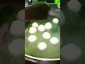 Rasgulla recipe shorts viral  trending viral  viral viral 