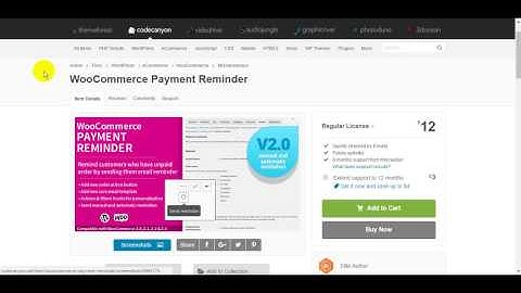 WooCommerce Payment Reminder