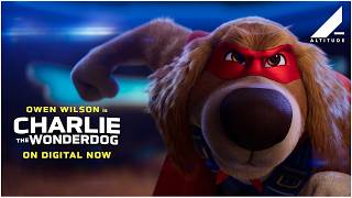 CHARLIE THE WONDERDOG | OFFICIAL TRAILER | IN CINEMAS MAY 22 | Altitude Films