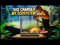 How the Addition of a Bamboo Rat Transformed My Massive Indoor Ecosystem