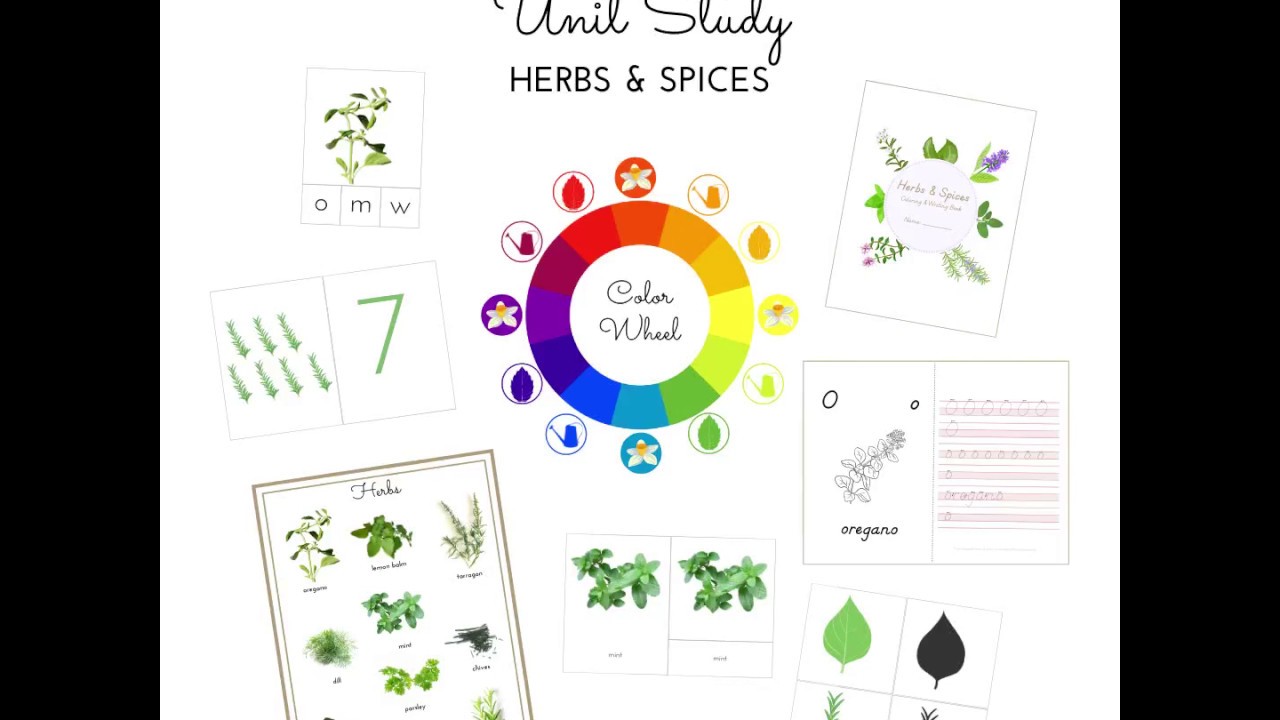 Herbs & Spices Unit Study Bundle YouTube