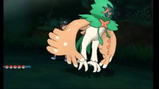 ポケモンサンムーン レアポケモン捕まえてのつもりが死闘 ムーン限定 ヤレユータン 編 Youtube