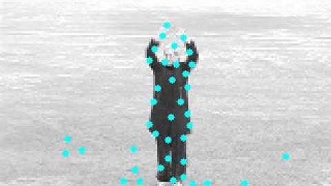 Fast Feature Detection Video 1