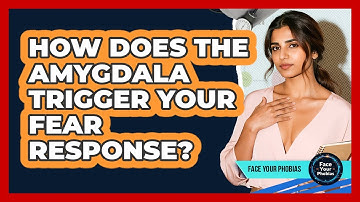 How Does The Amygdala Trigger Your Fear Response? - Face Your Phobias