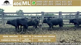406 - ESTANCIA NORICA | MONTE DEL CHACO S.A.