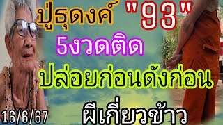 ปู่ธุดงค์93เข้าตรงๆยายสายปล่อยต่อทันทีเงียบๆเดี๋ยวอั้น16/6/67