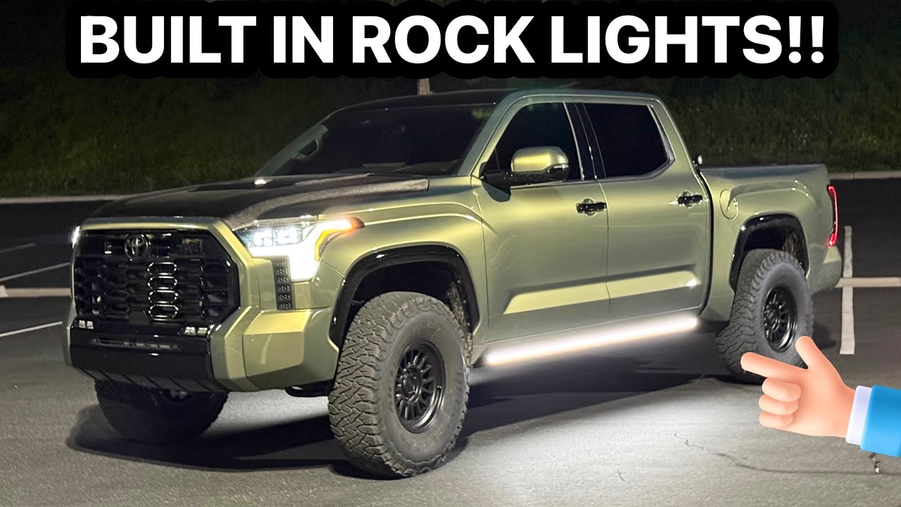 These Power Steps are sick!! Turn Signals + Rock Lights