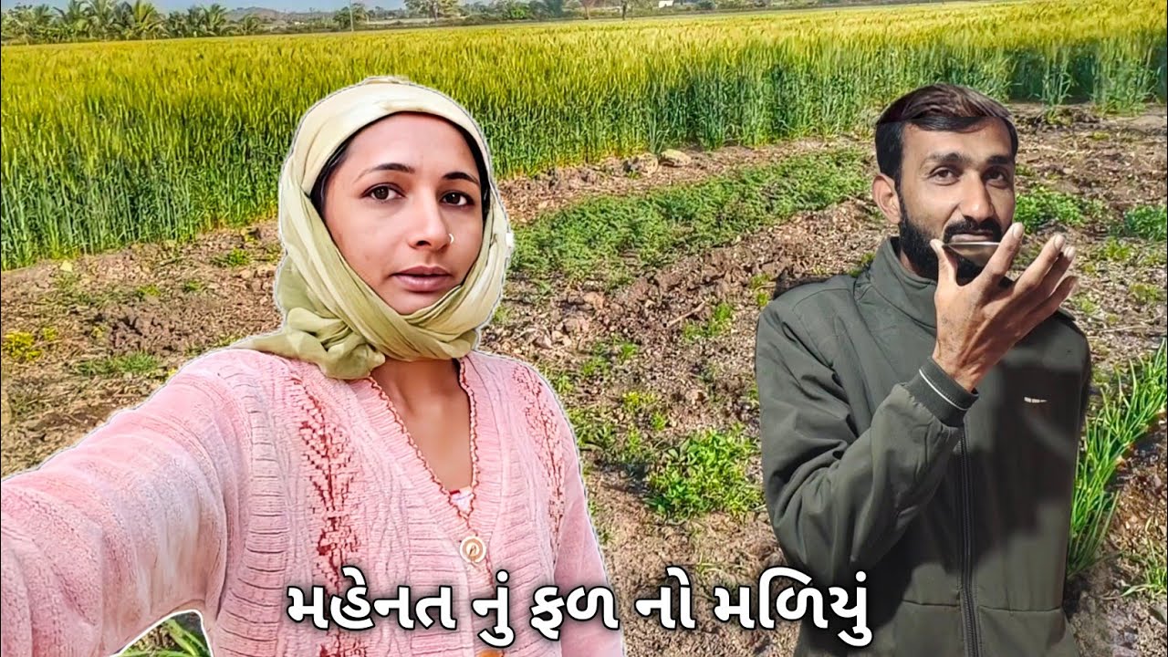 મહેનત કરી એ પ્રમાણે ફળ ન મળ્યું || R Gujju Vlog || 