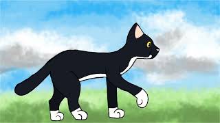 Cat walk cycle :)